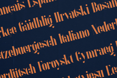 Inure Elegant Modern Serif Font Product Image 3