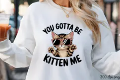 YOU GOTTA BE KITTEN ME PNG, Funny Cats Sublimation Quotes PN Product Image 3