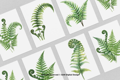 15 Bundle Watercolor Fern Leaf Botanical Aesthetic Tropical Product Image 3