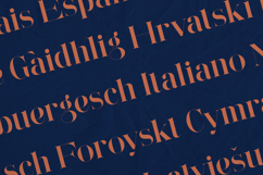 Wonderz Elite Luxury High Contrast Serif Font Product Image 3