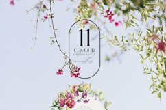 Field summer flowers fruits clipart Product Image 4