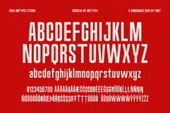 Condura Sans Serif Display Product Image 4