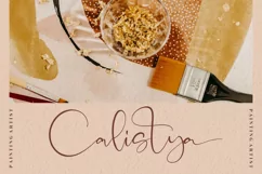 Catalistefa Signature Modern Signature Font Product Image 3