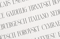 Thorn Tale Elegant Modern Serif Product Image 3