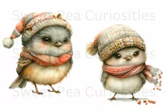 Birds, Christmas, Fall, Ephemera, PNG, watercolor, Clipart Product Image 3