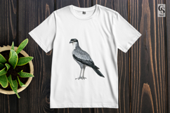 Watercolor Secretary Bird Illustration Clipart PNG Product Image 2