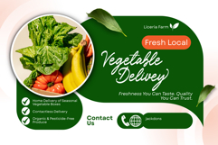 Ardigna - Script Font Product Image 3