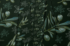 Olive Vector set Product Image 5