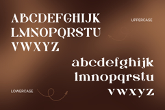 Bagku Fashion - Luxury Modern Logo Font Product Image 6