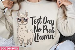 Test day no prob llama PNG, Teachers Testing Day PNG Product Image 1