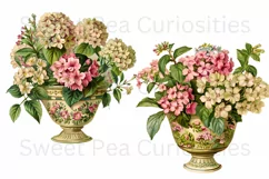 Flowers, Junk Journal, PNG, Clipart, Ephemera, Botanical Product Image 3