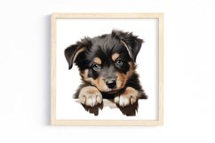Peeking Dog Collection Clipart Product Image 3