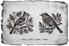 Bird Silhouette Vector Collection Product Image 3