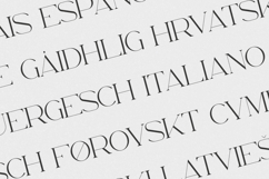 Consumer Type - Bold Serif Headline Product Image 3