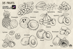 Fruits Procreate Stamp Brushes Product Image 3