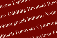 Quillin Elegant Luxury Serif Font Product Image 3