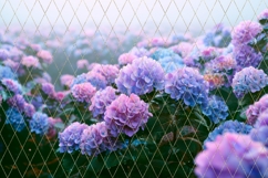 Pink Flowers Background, Purple Hydrangea Background Designs Product Image 3