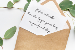 Jungle Product Image 3