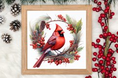 Christmas Cardinal Watercolor Clipart, Christmas Cardinal Product Image 3