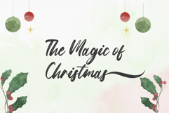 Snowberry Brush Product Image 3