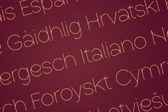 Elegant Minimal Sans Serif Product Image 3