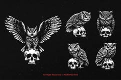 10 Bundle Dark Art Owl Bird Skull Nocturnal Animal Horror Product Image 5