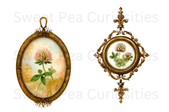 Vintage, painting, flowers, Ephemera, PNG, Clipart Product Image 3