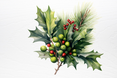 Winter Christmas Greenery Clipart PNG Product Image 3