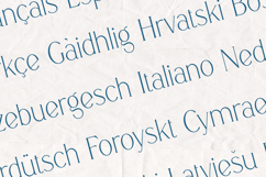 Boketto Elegant Contemporary Serif Font Product Image 3