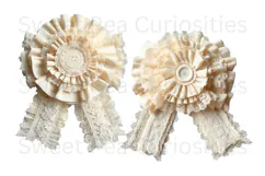 Bows, Ribbon, Lace , Clipart, Ephemera, PNG, Junk Journal Product Image 3