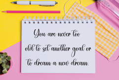 Election Product Image 3