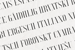 Searchlight Luxury High Contrast Serif Font Product Image 3