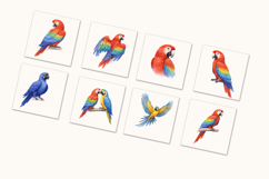 Colorful Parrots Clipart Bundle 20 Product Image 3
