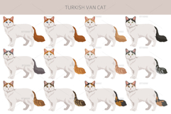 Turkish Van cat clip art Product Image 2