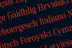 Flowrite Pitch Edition Modern Serif Font Product Image 3