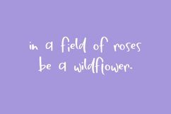 Springbreak Sans Product Image 3