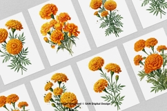 15 Bundle Watercolor Marigold Rose Flower Floral Botanical Product Image 3