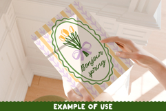 10 Coquette Spring Frames PNG Bundle Product Image 2