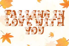 Birdsun Autumn - A Cozy Whimsical Display Font Product Image 2