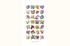 Retro Vintage Orchids Clipart Bundle Product Image 3