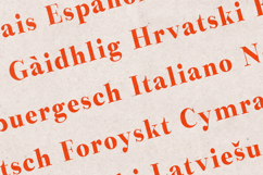 Preta Organic Serif Font Product Image 3