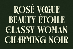 Arogel - Luxury Ligature Serif Font Product Image 3