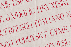 Elara Elegant Modern Serif Font Product Image 3