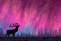 Deer Silhouette with Northern Lights Background for Crafts Product Image 1