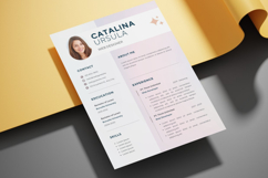 05 Soft Pink Resume Template - Canva Product Image 3