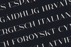 KAVO Elegant Display Font Product Image 3