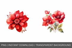 Watercolor Red flowers, Floral clipart, Botanical Clipart Product Image 3