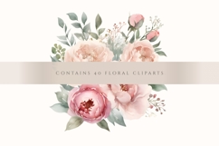 40 Watercolor Rose Peony Clipart PNG, Rose Flower Clipart Product Image 3