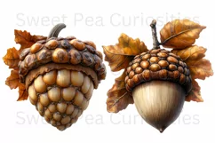 Fall Autumn, Acorns, Halloween, Ephemera, PNG, Clipart Product Image 3