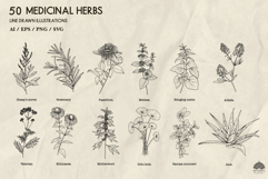 Medicinal herbs Svg Png Eps Product Image 3